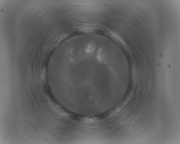 X0000076450073200610202345