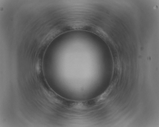 X0000076450074200610202345