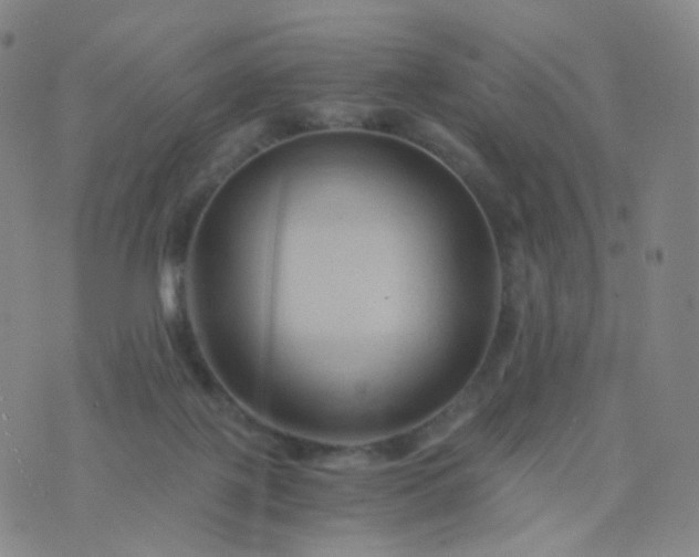 X0000076450075200610202345