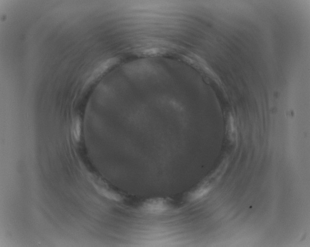 X0000076450076200610202345