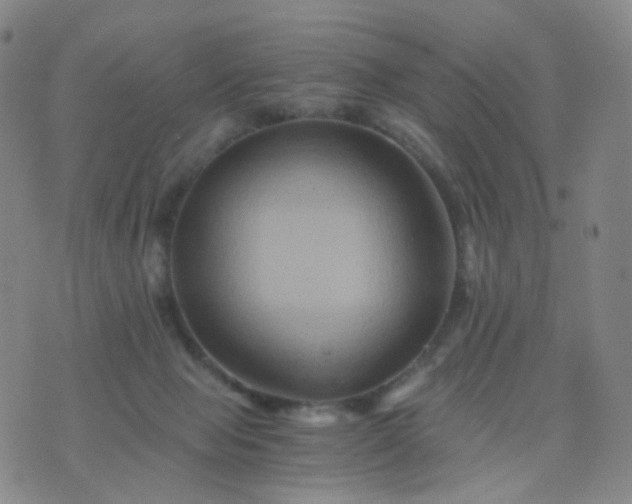 X0000076450077200610202345