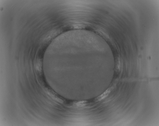 X0000076450078200610202345