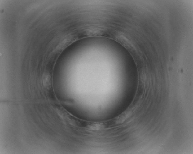 X0000076450079200610202345