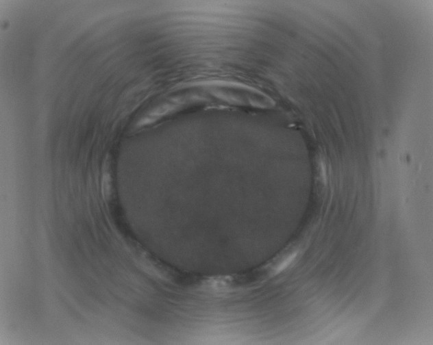 X0000076450080200610202345