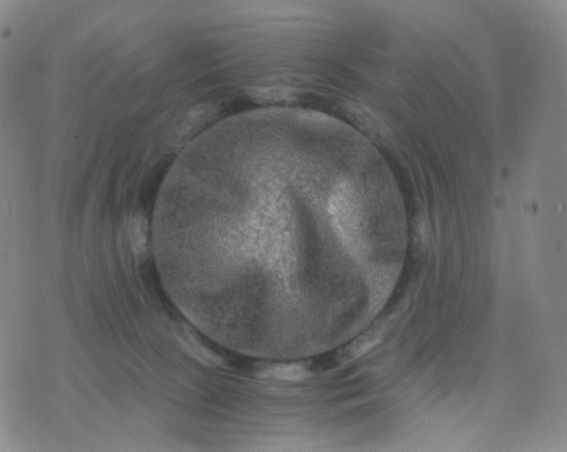 X0000076450081200610202345