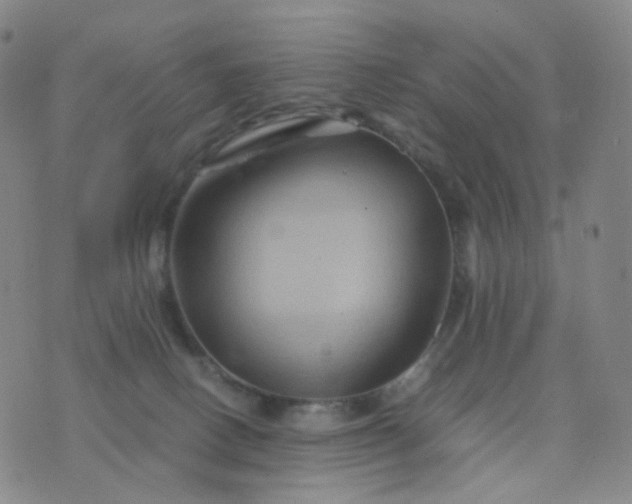 X0000076450082200610202345