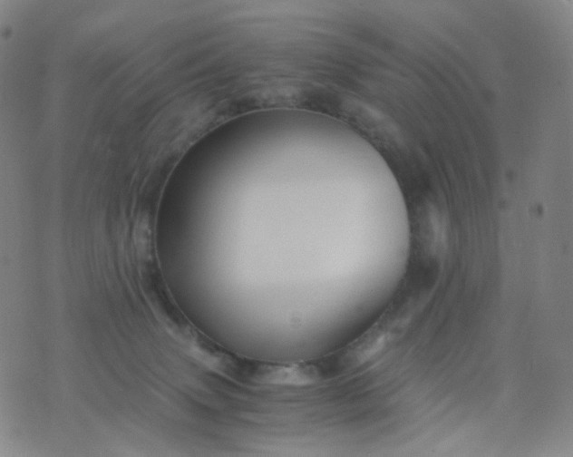 X0000076450083200610202345