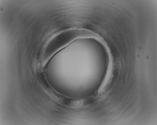 X0000076450084200610202345