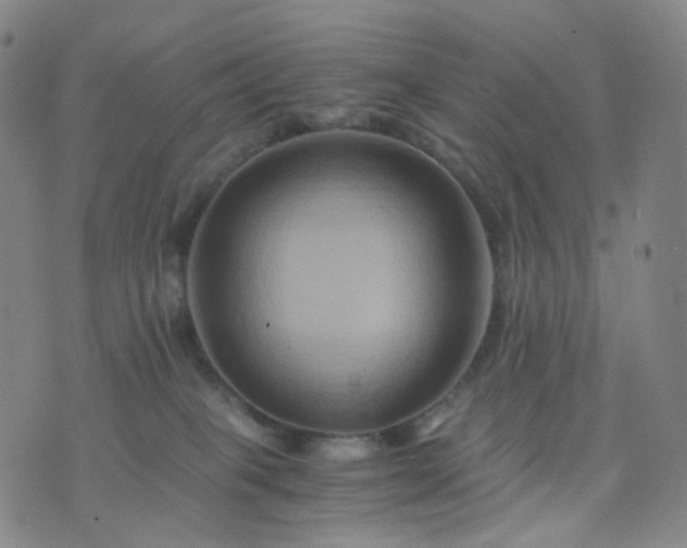 X0000076450085200610202345