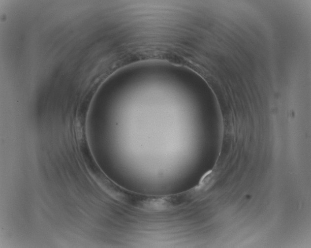 X0000076450086200610202345