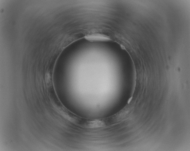 X0000076450087200610202345