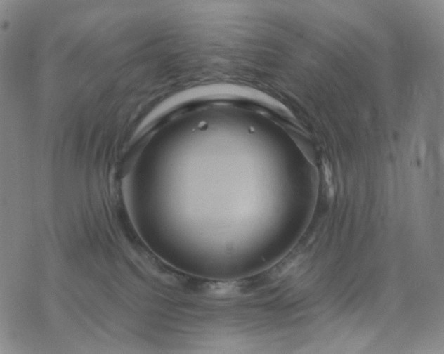 X0000076450088200610202345