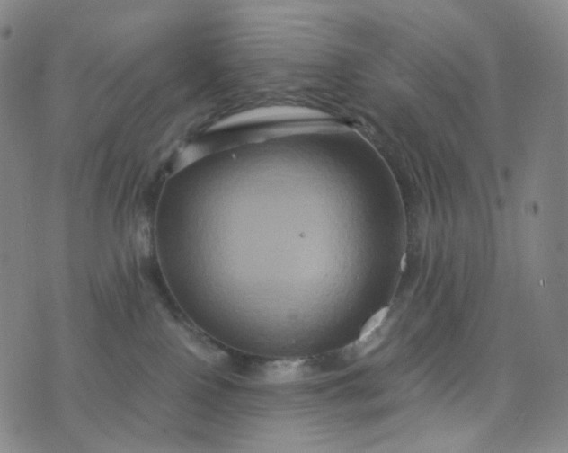 X0000076450090200610202345