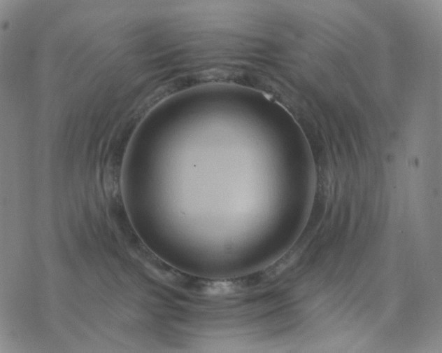 X0000076450091200610202345