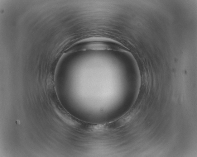 X0000076450092200610202345