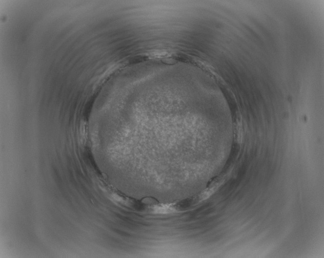 X0000076450093200610202345