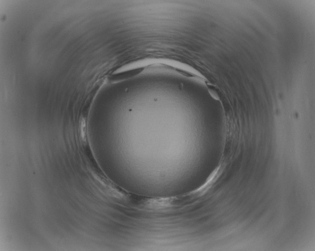 X0000076450094200610202345