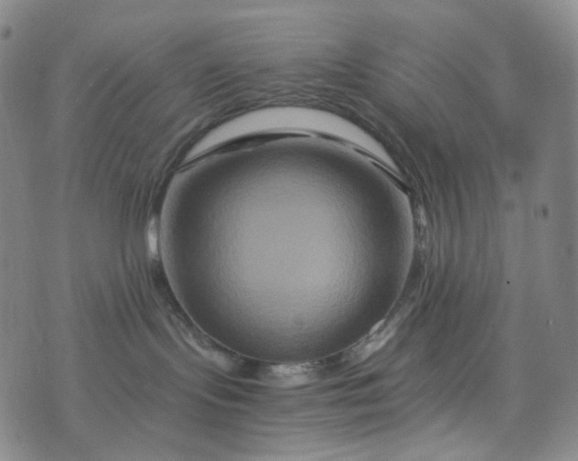 X0000076450095200610202345