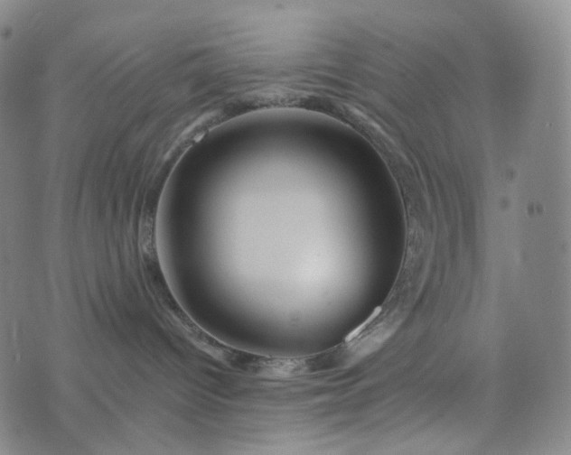 X0000076450096200610202345