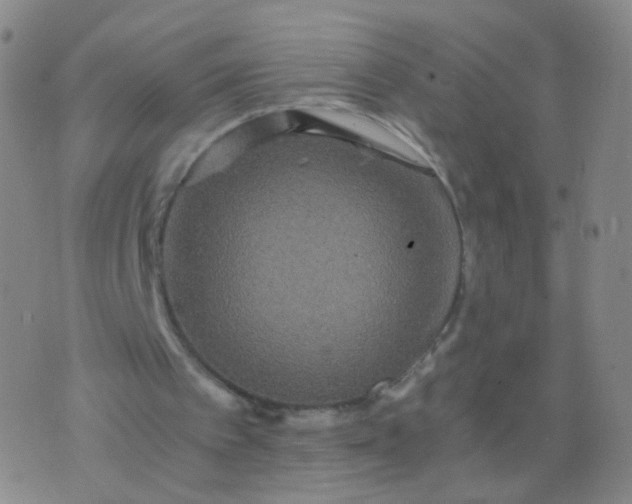 X0000076450097200610202345