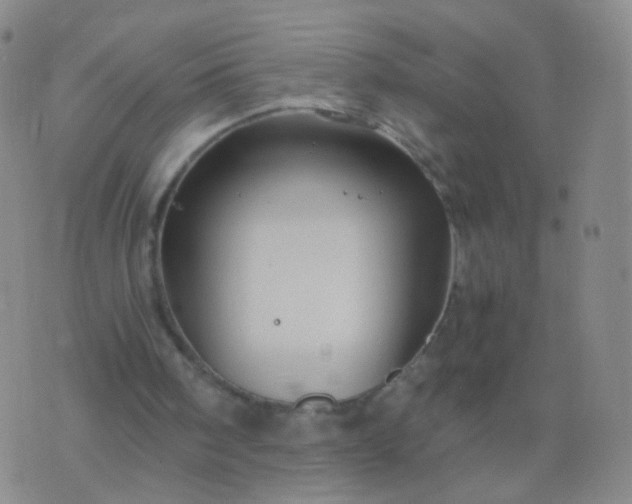 X0000076450098200610202345