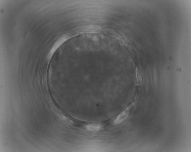 X0000076450099200610202345