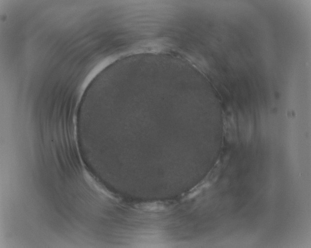 X0000076450100200610202345