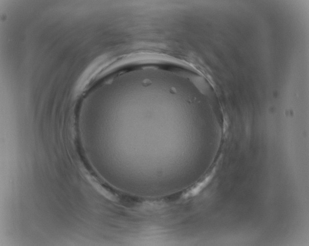 X0000076450101200610202345