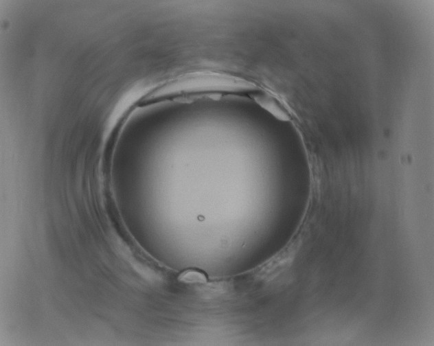 X0000076450102200610202345