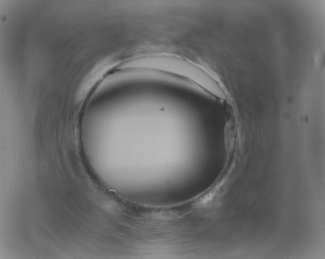 X0000076450103200610202345