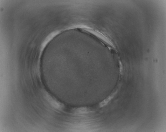 X0000076450104200610202345