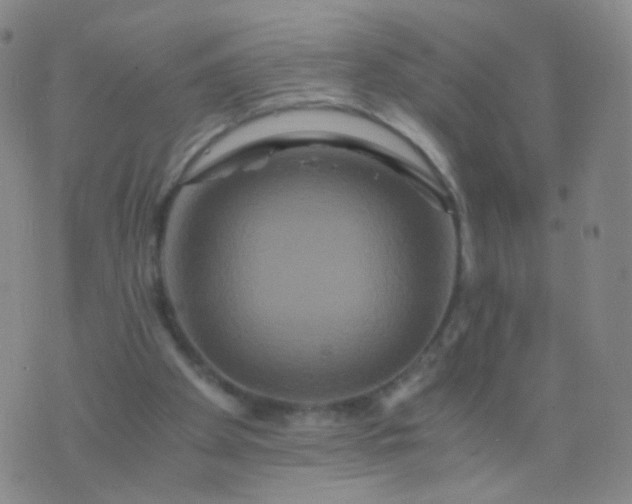 X0000076450105200610202345