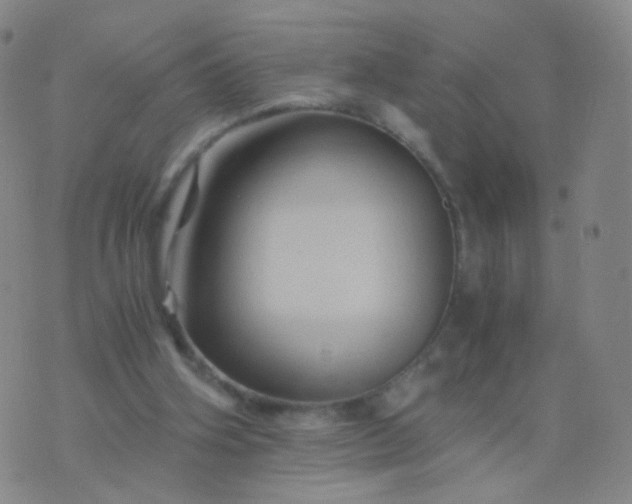 X0000076450106200610202345