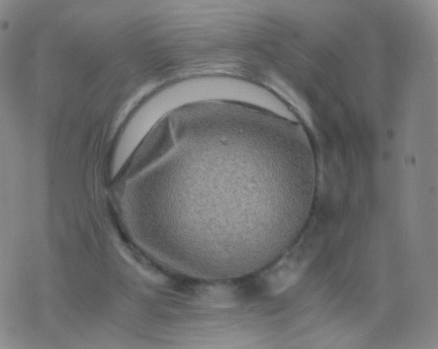 X0000076450107200610202344