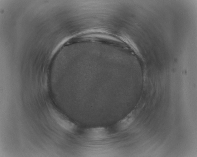 X0000076450108200610202344