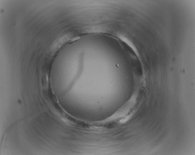 X0000076450109200610202344