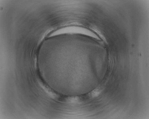 X0000076450110200610202344