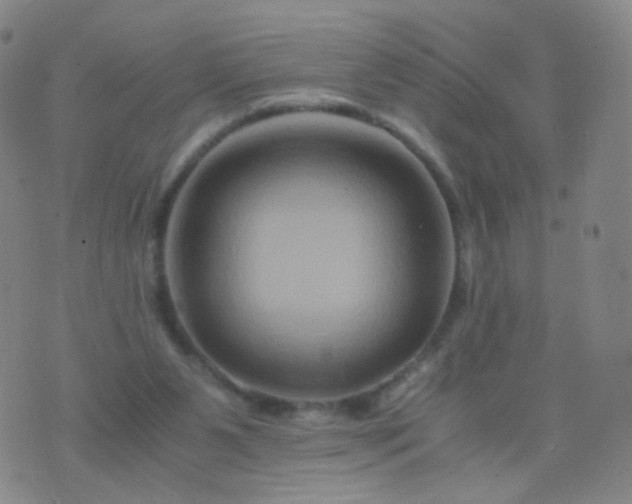 X0000076450111200610202344