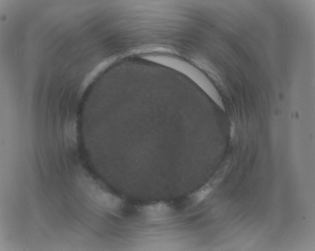 X0000076450112200610202344