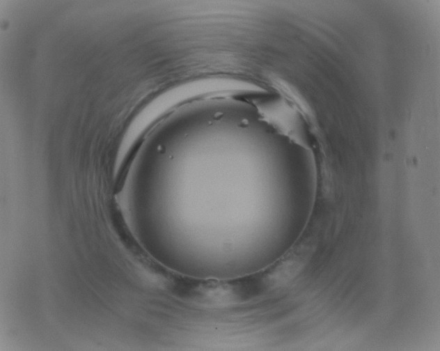 X0000076450113200610202344