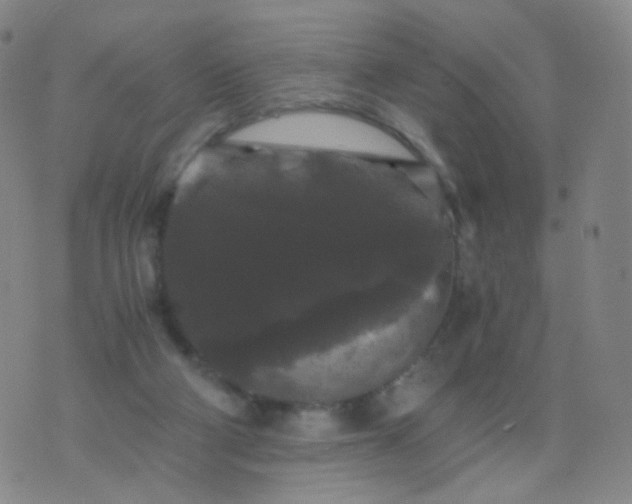 X0000076450114200610202344