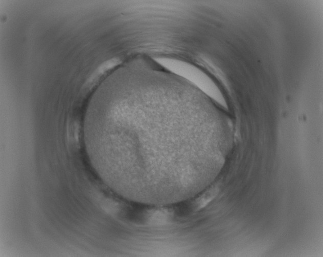 X0000076450115200610202344