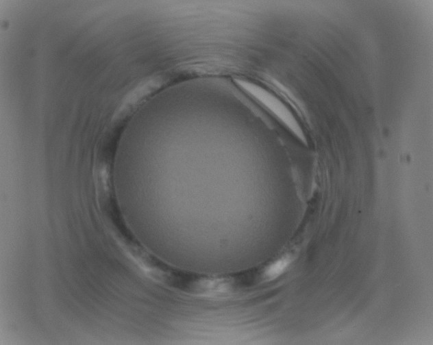 X0000076450117200610202344