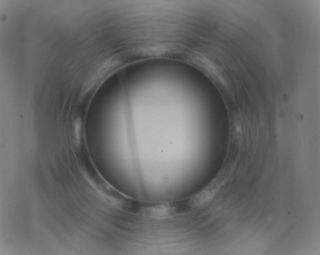 X0000076450118200610202344