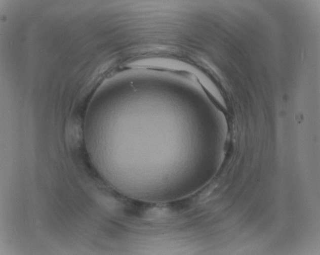 X0000076450119200610202344