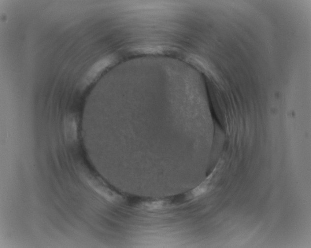 X0000076450120200610202344