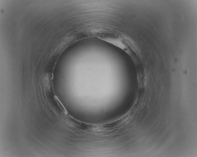 X0000076450121200610202344