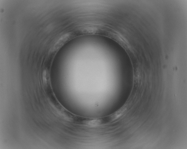 X0000076450122200610202344