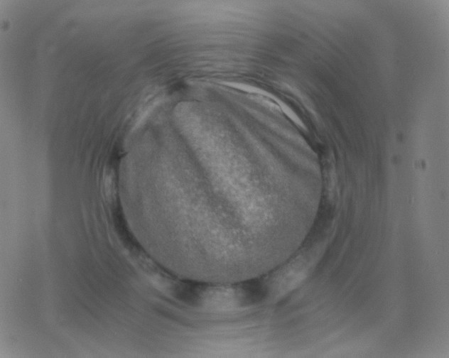 X0000076450123200610202344