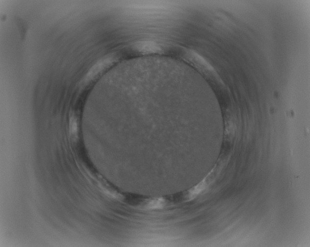 X0000076450124200610202344